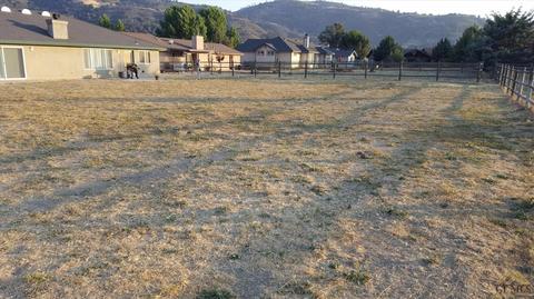 29513 Ryder Cup Ln, Tehachapi, CA 93561 photo 27