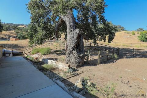 24550 Bay Ct, Tehachapi, CA 93561 photo 14