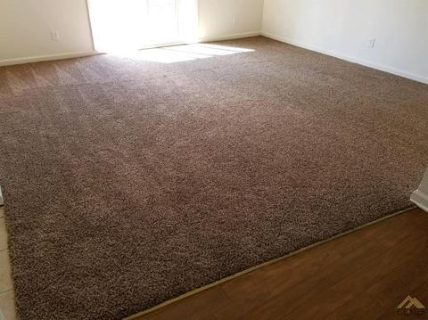 933 Stephen Ct, Wasco, CA 93280 photo 10