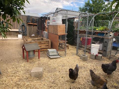 508 Washington Ave, Taft, CA 93268 photo 29