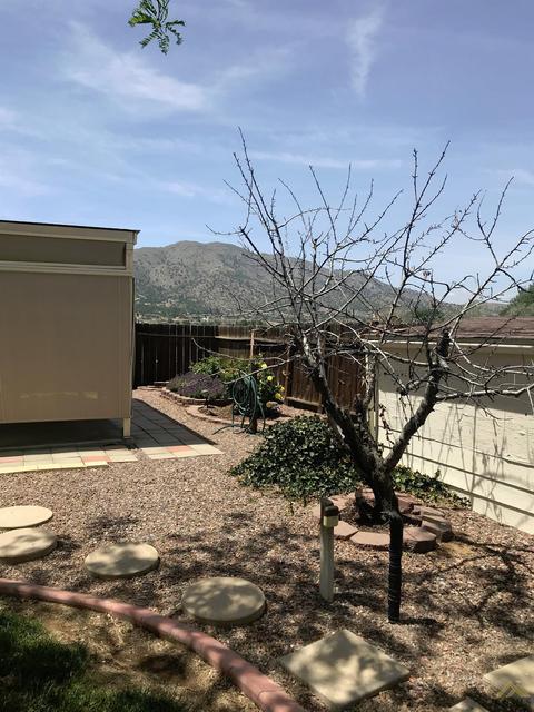 22101 Buena Vista Dr, Tehachapi, CA 93561 photo 8