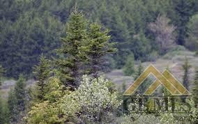 20624 Ridgecrest Dr, Tehachapi, CA 93561 photo 1