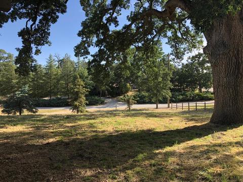 24350 Silver Creek Way, Tehachapi, CA 93561 photo 12