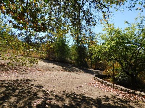 43250 Oak St, Posey, CA 93260 photo 5