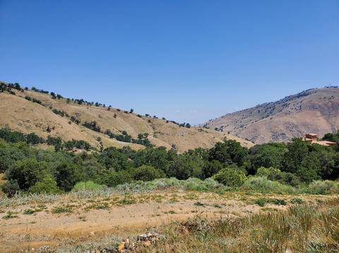 6645 Digier Rd, Lebec, CA 93243 photo 3
