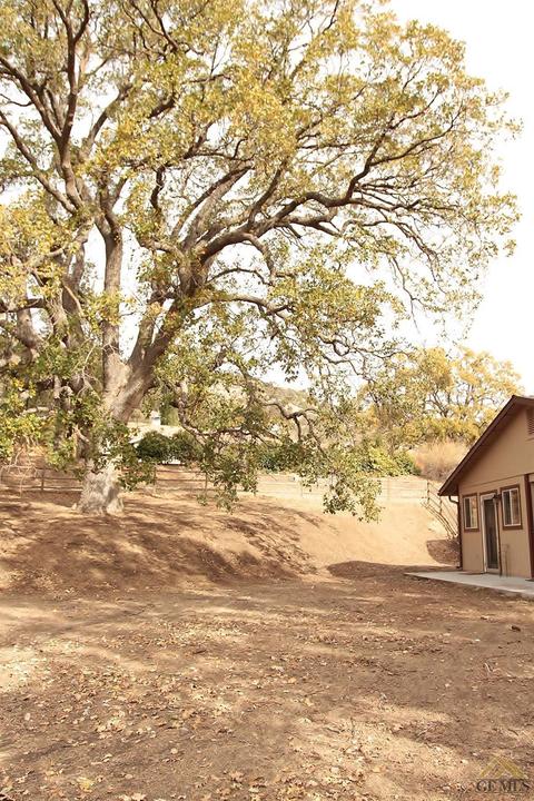 24421 Pueblo Ct, Tehachapi, CA 93561 photo 39