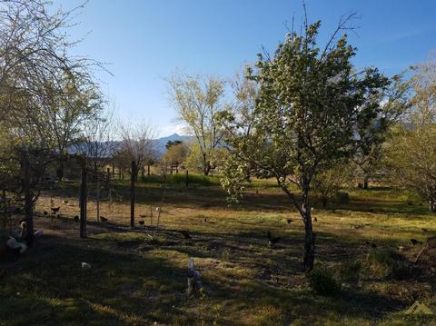 15191 Sage Ln, Weldon, CA 93283 photo 13