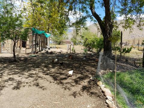 15191 Sage Ln, Weldon, CA 93283 photo 8