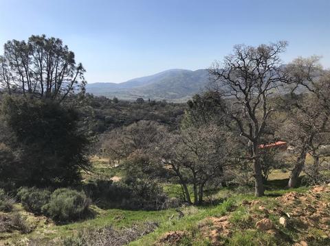 20136 Knob Hill Rd, Tehachapi, CA 93561 photo 23