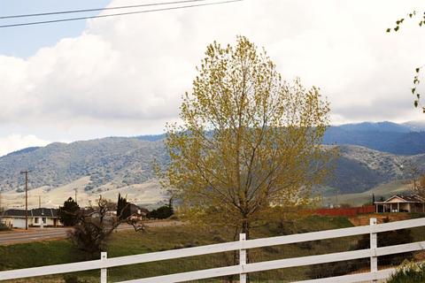 21811 Westwood Blvd, Tehachapi, CA 93561 photo 37
