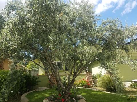 1206 Packard Dr, Arvin, CA 93203 photo 7