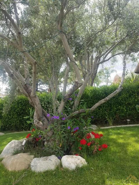 1206 Packard Dr, Arvin, CA 93203 photo 6