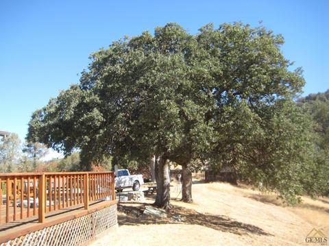 43685 Sugarloaf Dr, Posey, CA 93260 photo 15