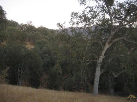 43685 Sugarloaf Dr, Posey, CA 93260 photo 24