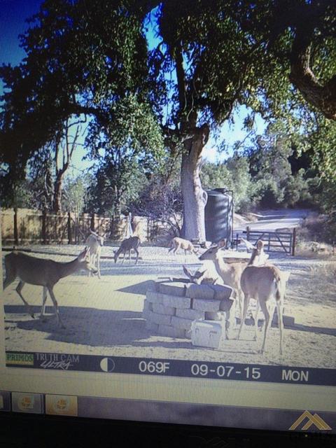 43685 Sugarloaf Dr, Posey, CA 93260 photo 38