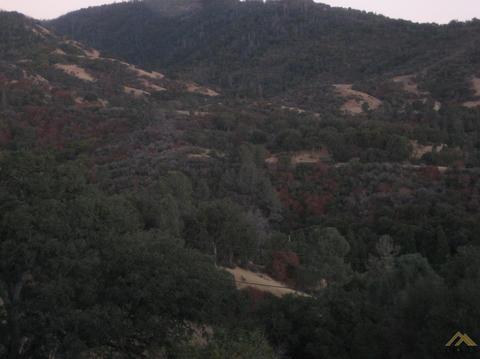 43685 Sugarloaf Dr, Posey, CA 93260 photo 23