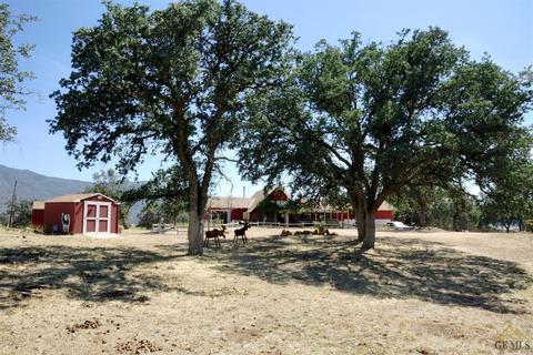 20650 Schell Ranch Rd, Caliente, CA 93518 photo 16