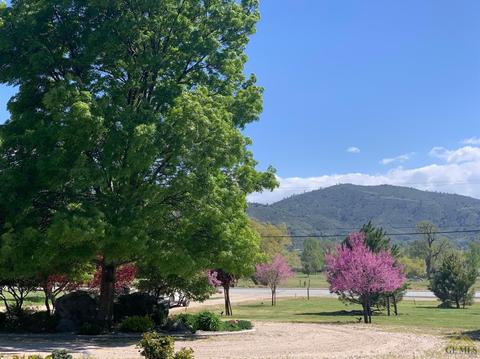 29281 N Lower Valley Rd, Tehachapi, CA 93561 photo 39
