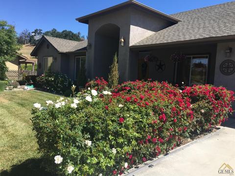 29281 N Lower Valley Rd, Tehachapi, CA 93561 photo 40