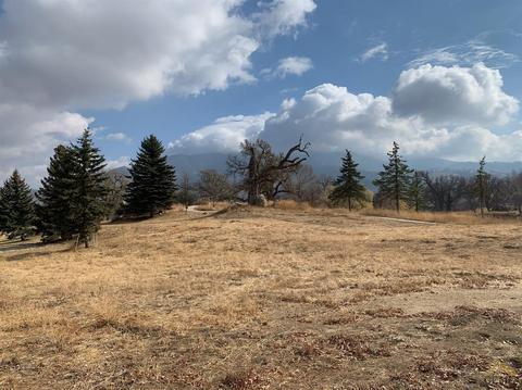 28880 Shannon Ct, Tehachapi, CA 93561 photo 5