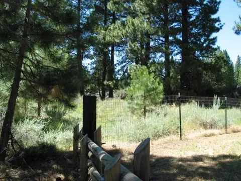 70 Wanda Way, Calpine, CA 96124 photo 1