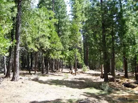 585 Sage Rd, Clio, CA 96106 photo 2