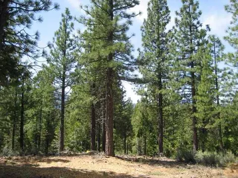 585 Sage Rd, Clio, CA 96106 photo 1