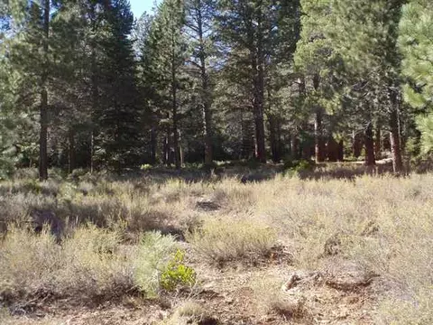 11810 Bottcher Loop, Truckee, CA 96161 photo 9