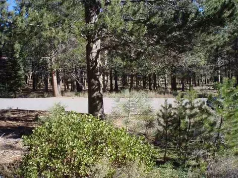 11810 Bottcher Loop, Truckee, CA 96161 photo 8