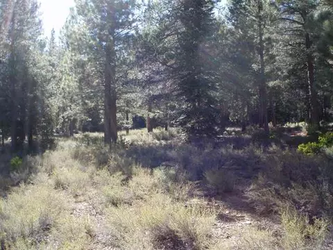 11810 Bottcher Loop, Truckee, CA 96161 photo 7