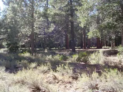 11810 Bottcher Loop, Truckee, CA 96161 photo 2