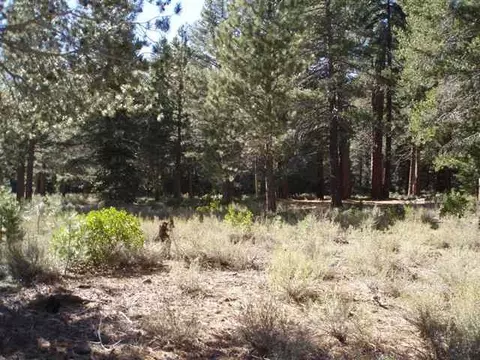 11810 Bottcher Loop, Truckee, CA 96161 photo 1