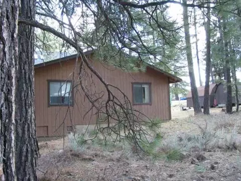 121 Calpine Ave, Calpine, CA 96124 photo 2