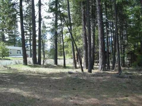 121 Calpine Ave, Calpine, CA 96124 photo 6