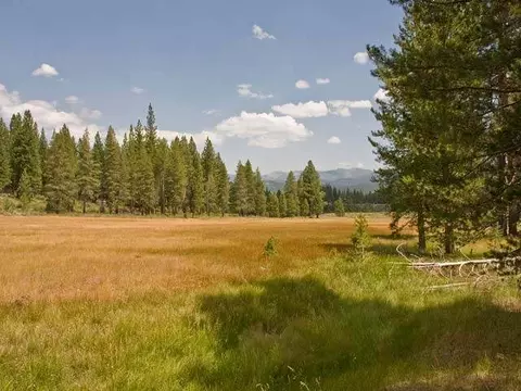 8449 Jake Teeter, Truckee, CA 96161 photo 2