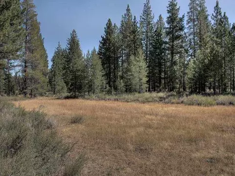 8449 Jake Teeter, Truckee, CA 96161 photo 3