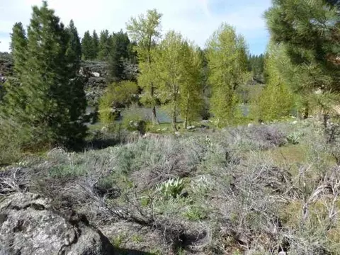 10741 E River St, Truckee, CA 96161 photo 6