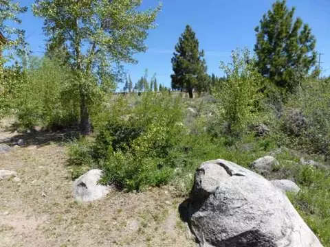 10741 E River St, Truckee, CA 96161 photo 8