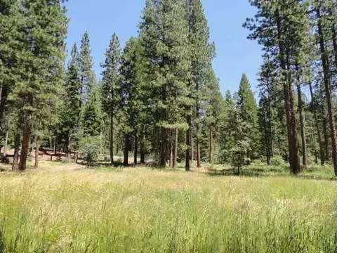 58879 Gill Ranch Rd, Cromberg, CA 96103 photo 8