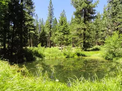 58879 Gill Ranch Rd, Cromberg, CA 96103 photo 2