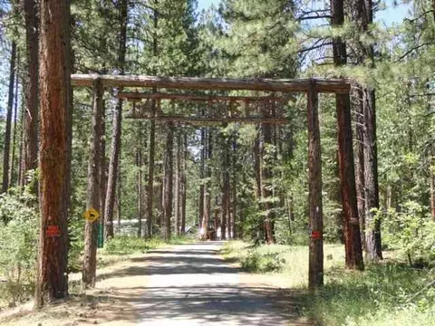 58879 Gill Ranch Rd, Cromberg, CA 96103 photo 9