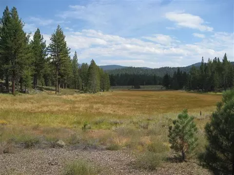 8405 Jake Teeter, Truckee, CA 96161 photo 1