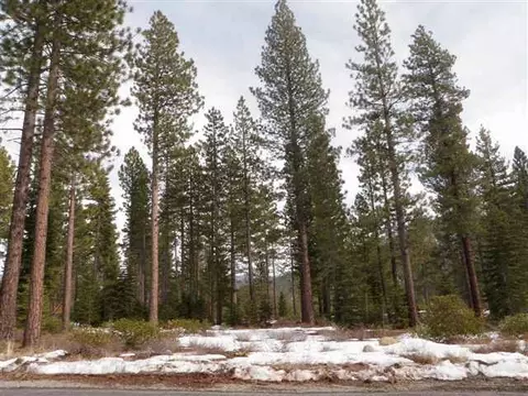 162 Bob Sherman, Truckee, CA 96161 photo 1