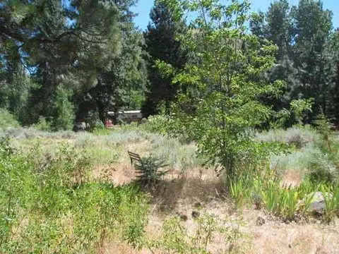 357 Wrangler Dr, Loyalton, CA 96118 photo 9