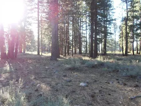 12813 Caleb Dr, Truckee, CA 96161 photo 1