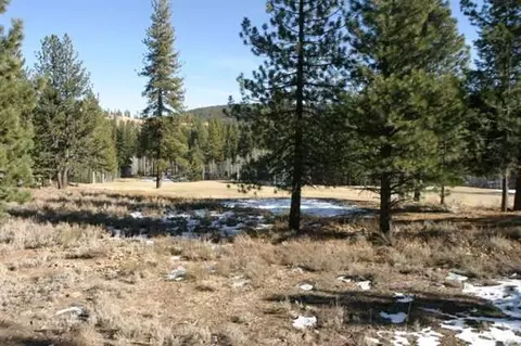 523 Wolf Tree, Truckee, CA 96161 photo 8