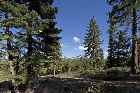 8342 Valhalla Dr, Truckee, CA 96161 photo 6