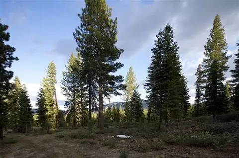 8342 Valhalla Dr, Truckee, CA 96161 photo 7