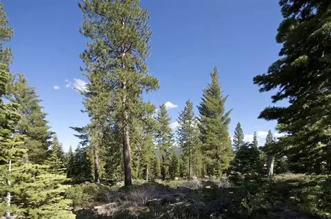 8342 Valhalla Dr, Truckee, CA 96161 photo 8
