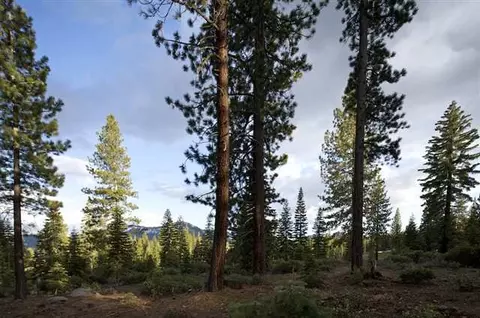 8342 Valhalla Dr, Truckee, CA 96161 photo 5